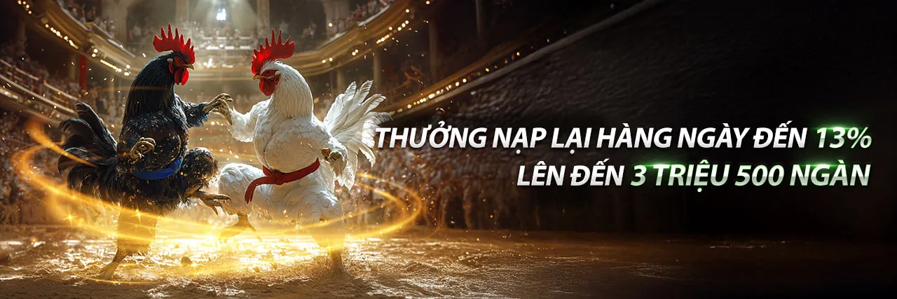 Sân đấu đá gà kịch tính tại AU88